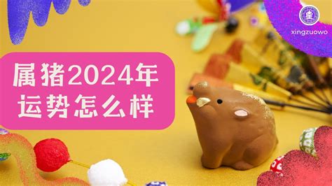 豬 運勢|属猪2024年运势及运程详解 2024年属猪人的全年每月运势